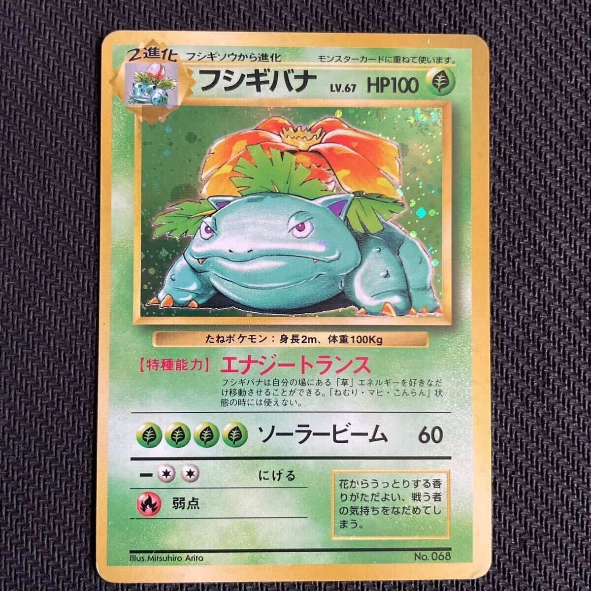 初期フシギバナ エラーカード 星なし 旧裏 ポケモンカード 最初期