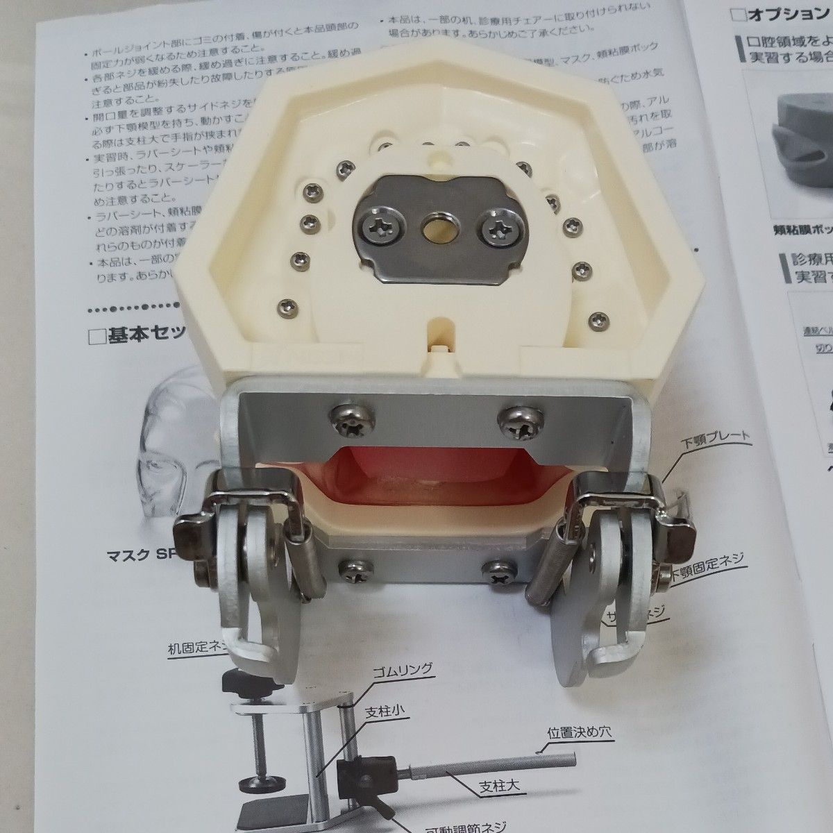 R7 0430 ① 歯科器具機器 顎 模型 技工 歯牙 見本 サンプル診療練習