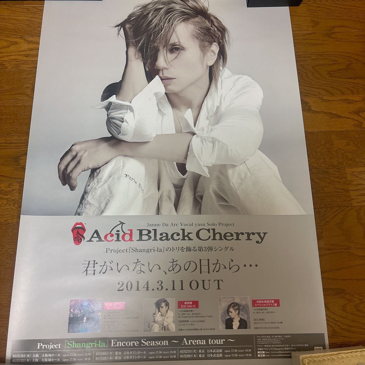 Acid Black Cherry ポスター 12点 まとめ売り｜Yahoo!フリマ（旧PayPay
