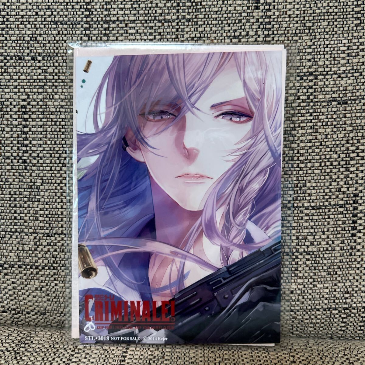 CRIMINALE!F ステラワース全巻連動購入特典 小冊子 クリミナーレ