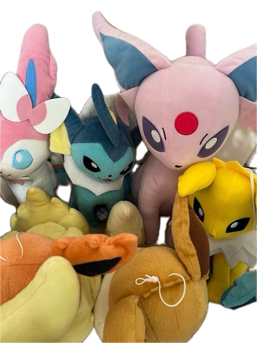 ポケモン ブイズぬいぐるみ イーブイブラッキーニンフィアグレイシア