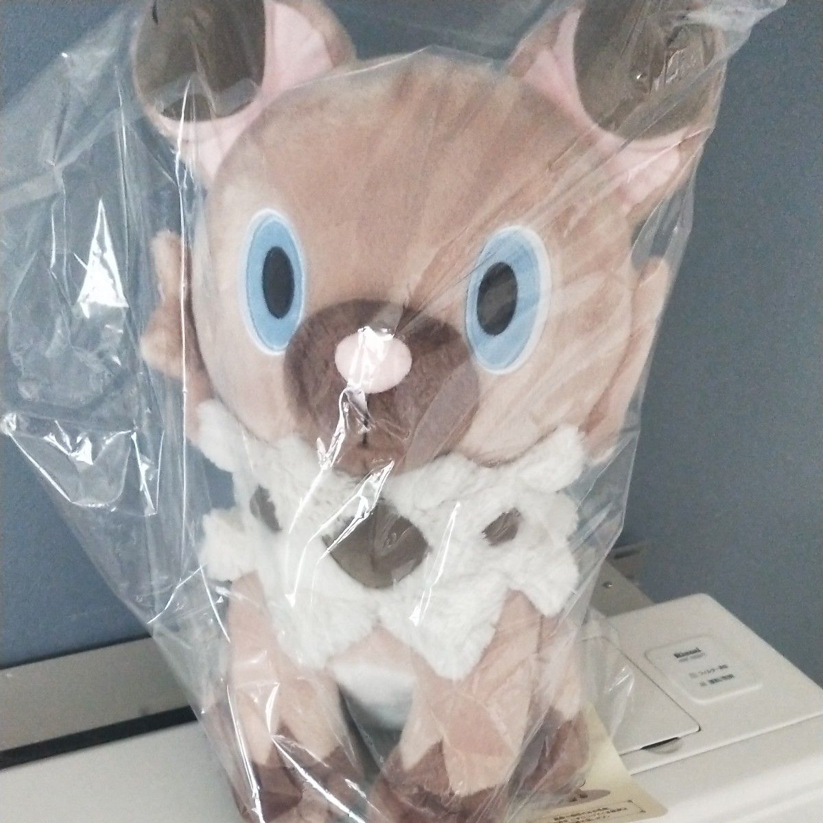 ポケモン おすわりぬいぐるみ イワンコ 等身大 ぬいぐるみ 犬 ポケモン