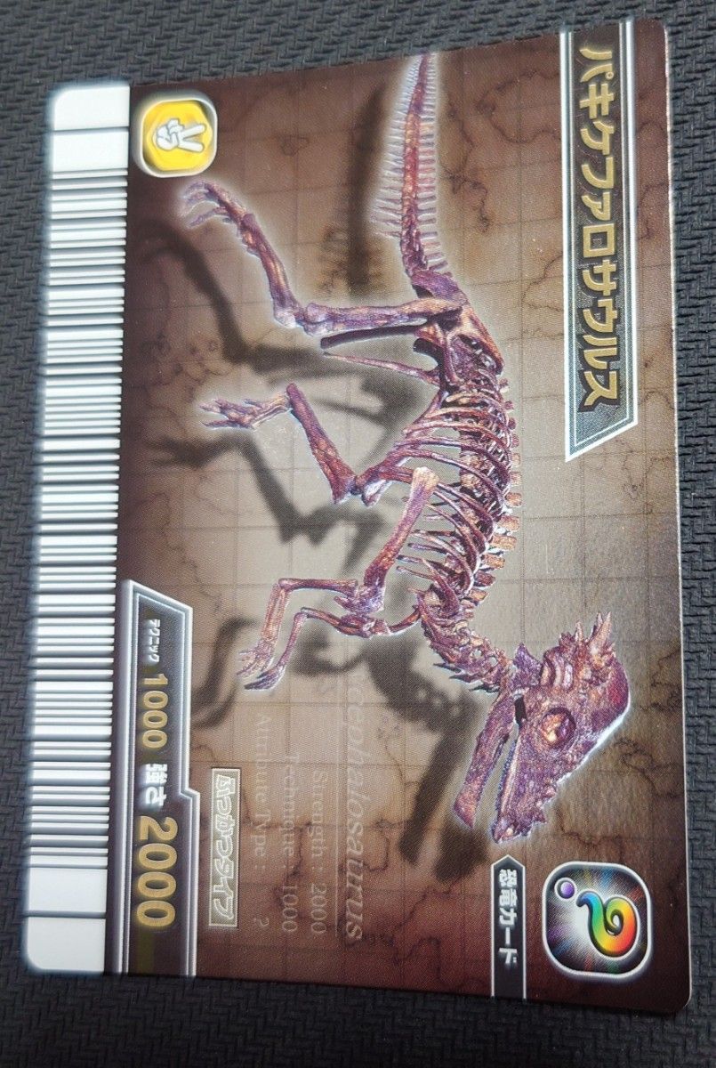 超激レア 未使用品 古代王者 恐竜キング 覚新第6紀 パキケファロ