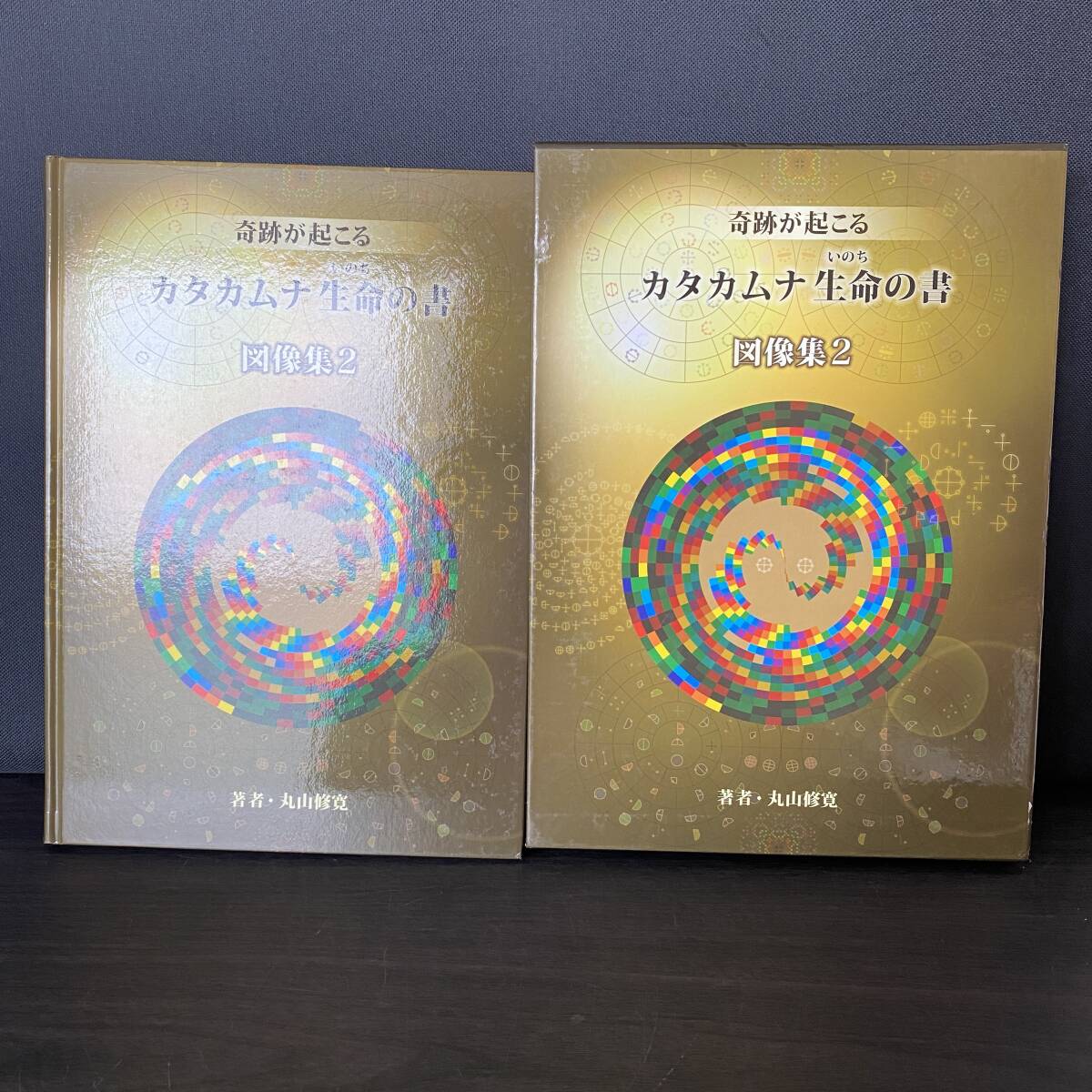 カタカムナ生命の書 Amazon.co.jp: カタカムナ生命の書 図像集2 : 丸山