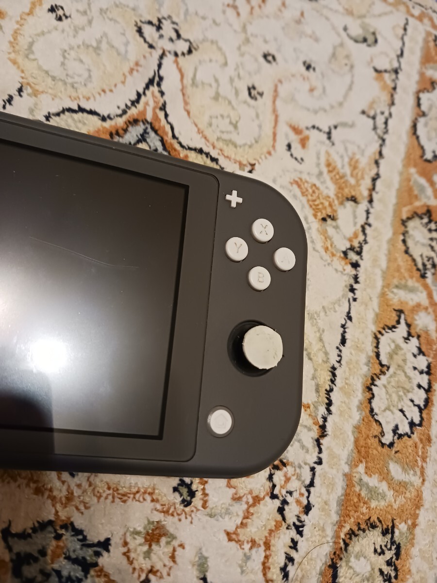 Nintendo Switch Lite グレー 純正充電器 SDカード 付き 動作品 送料