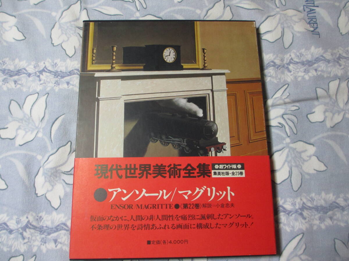 現代世界美術全集 全25巻 ワイド版 定価5200円 総額13万円 現代世界