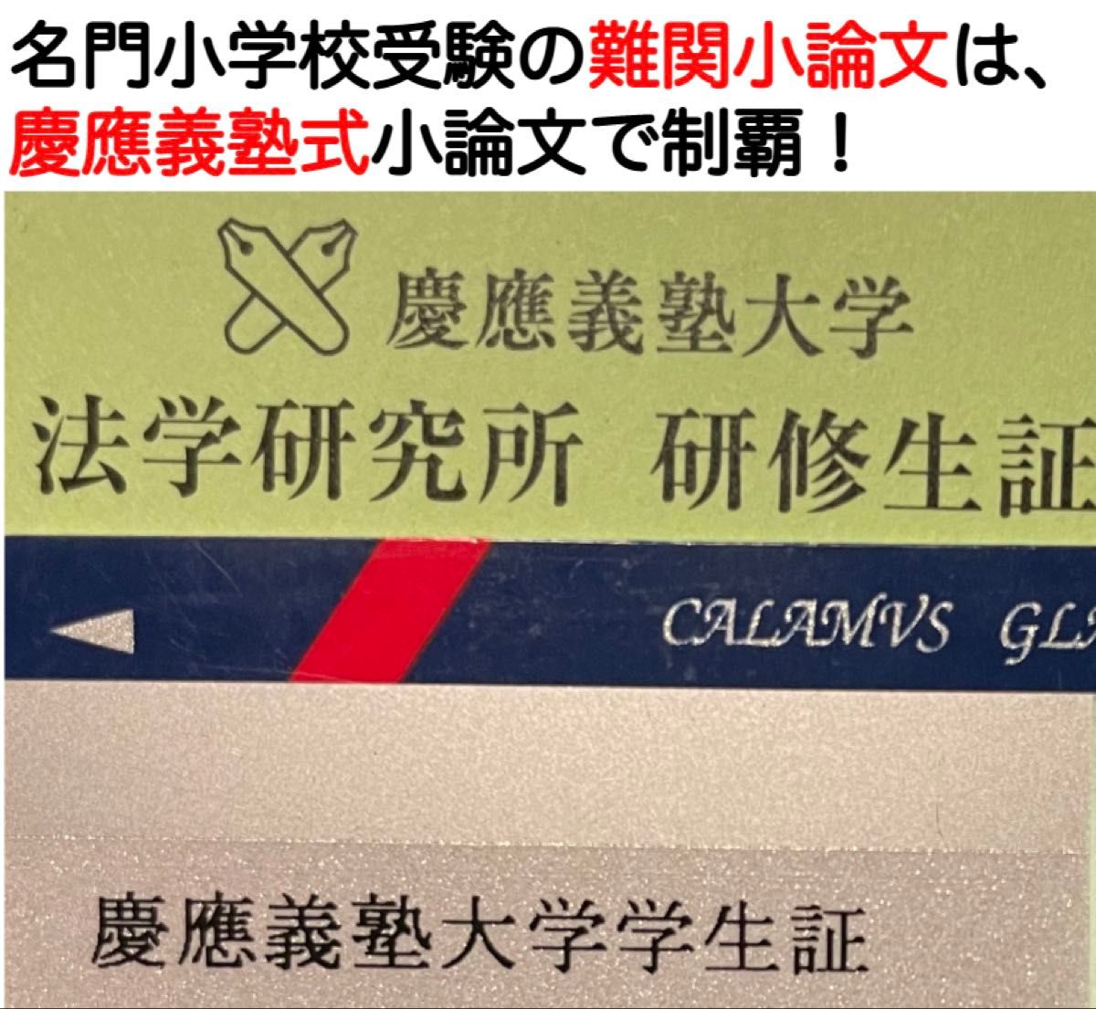 慶應義塾横浜初等部 過去問 問題集 願書 早稲田実業初等部 慶應義塾