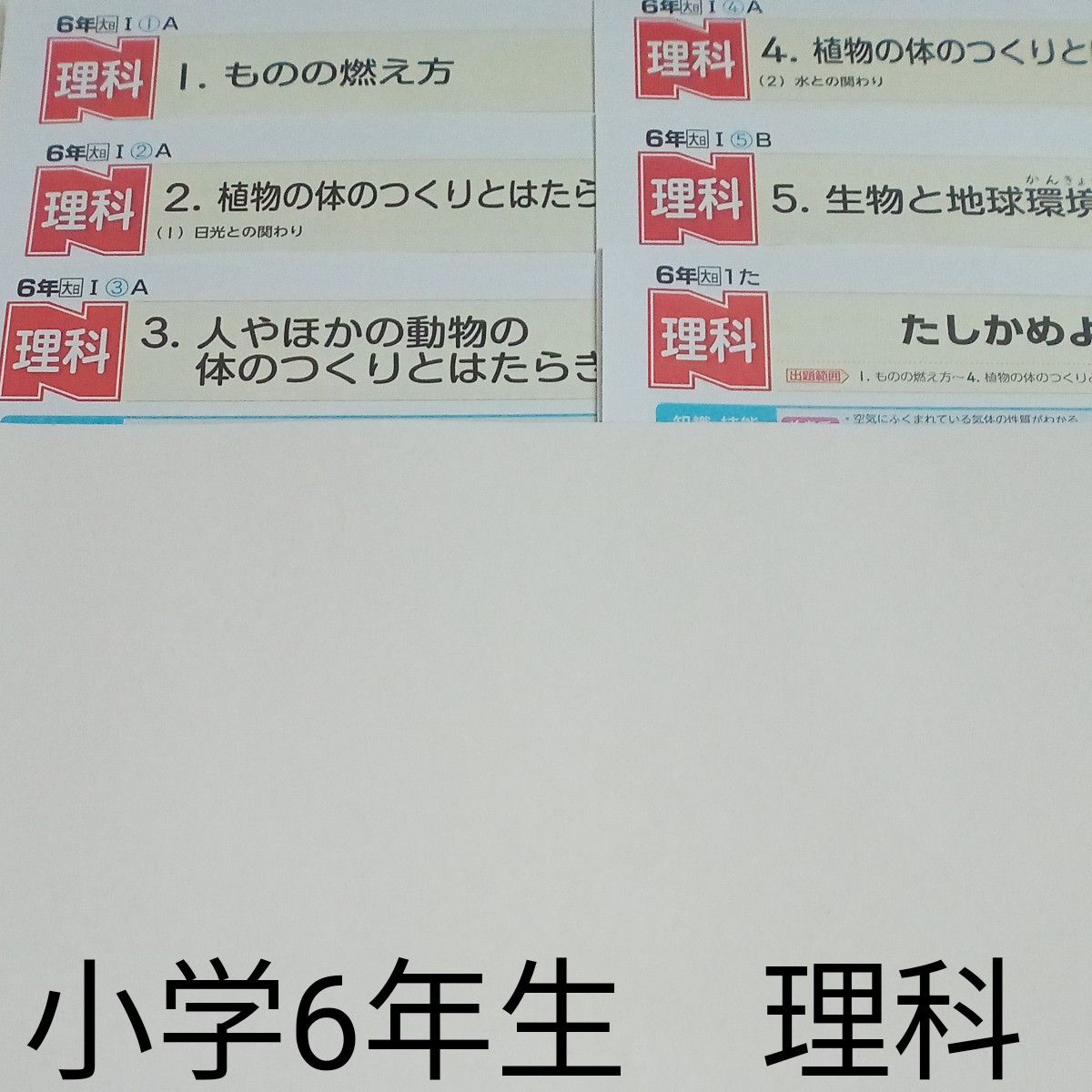 6年生 理科 大日本図書 ぶんけい カラーテスト 1学期 未使用 ラスト