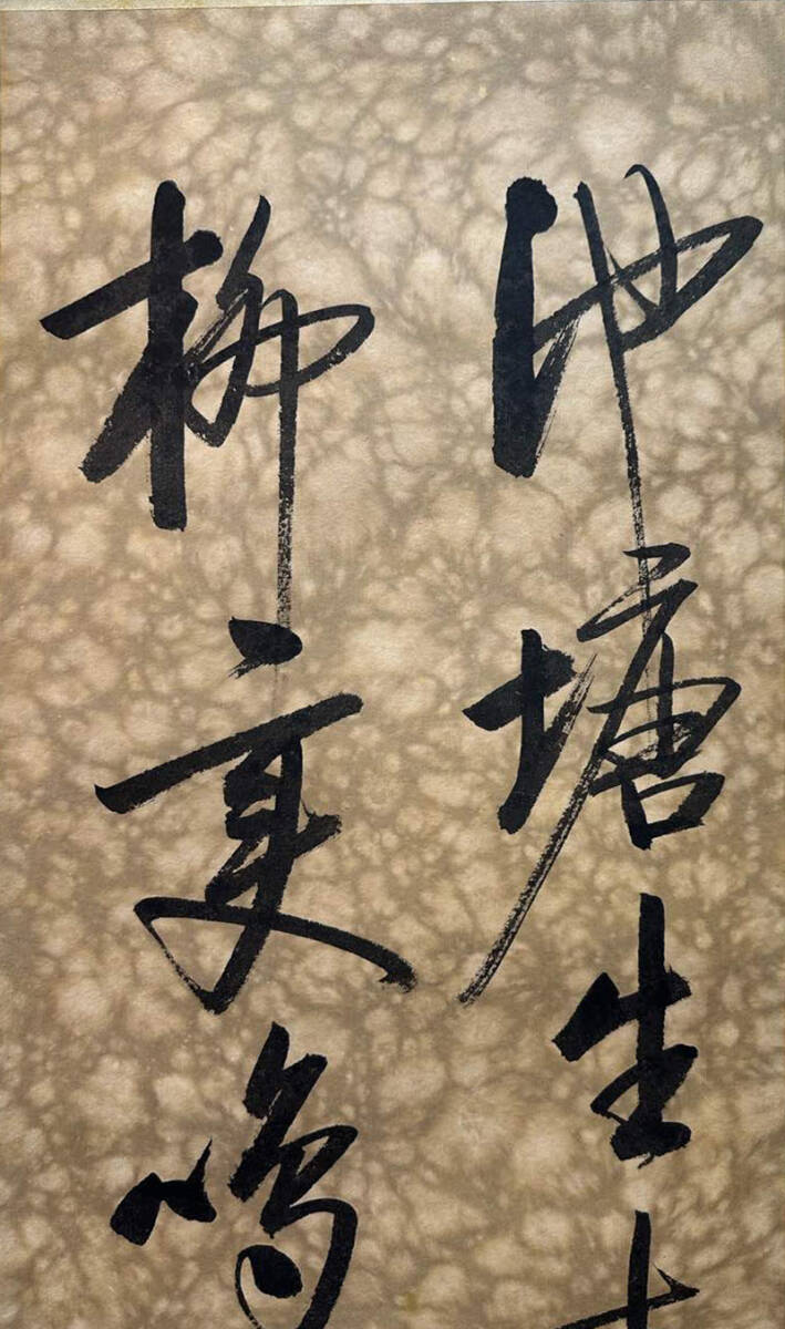 中国書画 掛け軸 中国・近時代 啓功書「書道立軸」紙本立軸 書道巻物