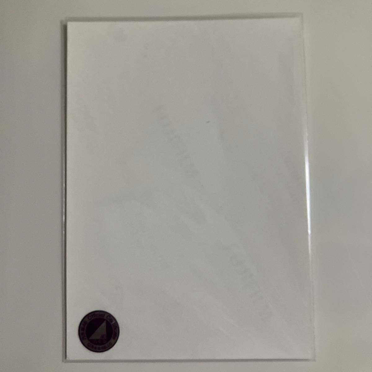 乃木坂46 生写真 掛橋沙耶香 スペシャル衣装26 直筆サイン｜Yahoo