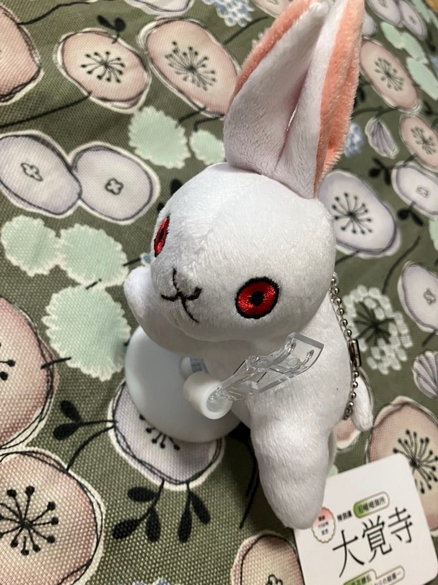特別展 大覚寺 うさぎ セット｜Yahoo!フリマ（旧PayPayフリマ）