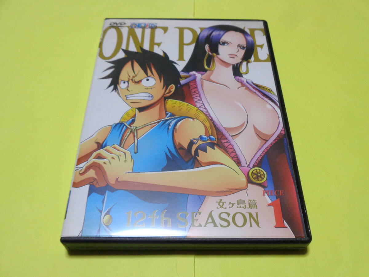 セル版 DVD/ONE PIECE ワンピース 12thシーズン 女ヶ島篇