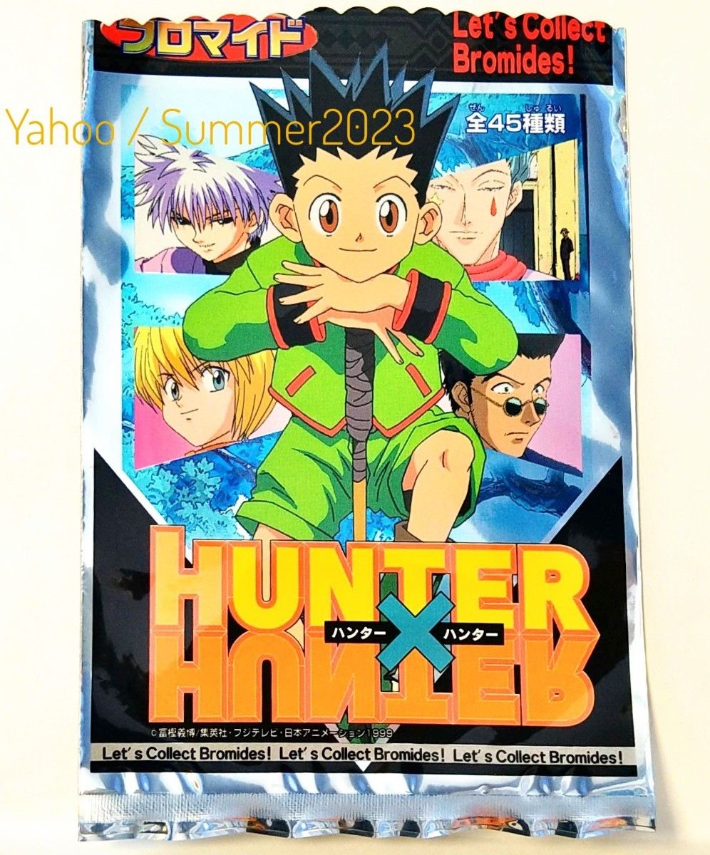 HUNTER×HUNTER ブロマイド ゴン キルア No 06 レア キラ ホログラム