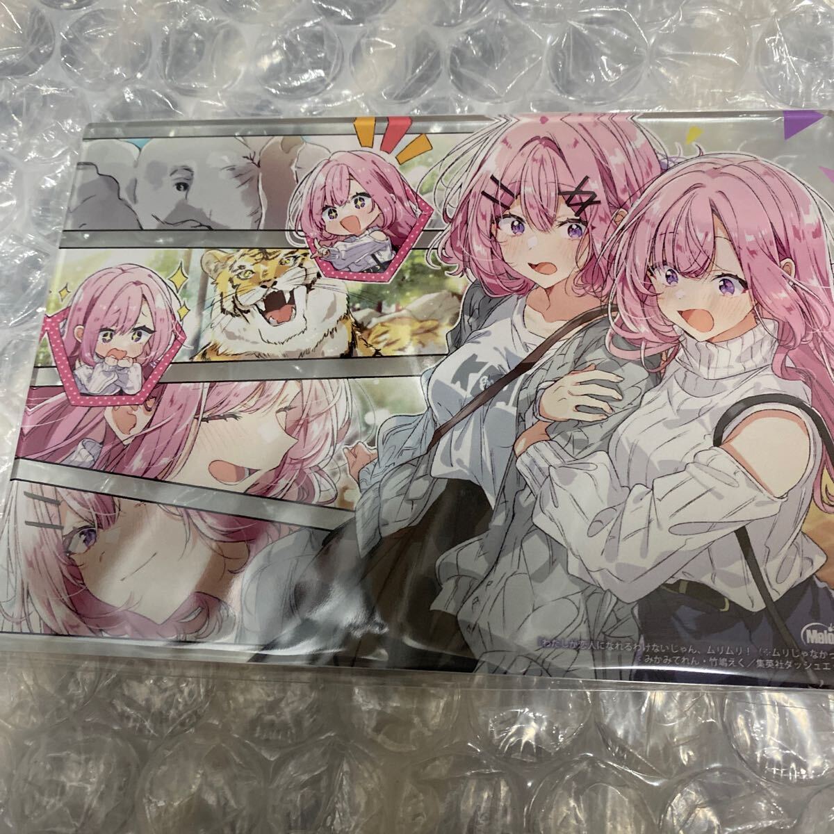 わたしが恋人になれるわけないじゃん ムリムリ ( ムリじゃなかった