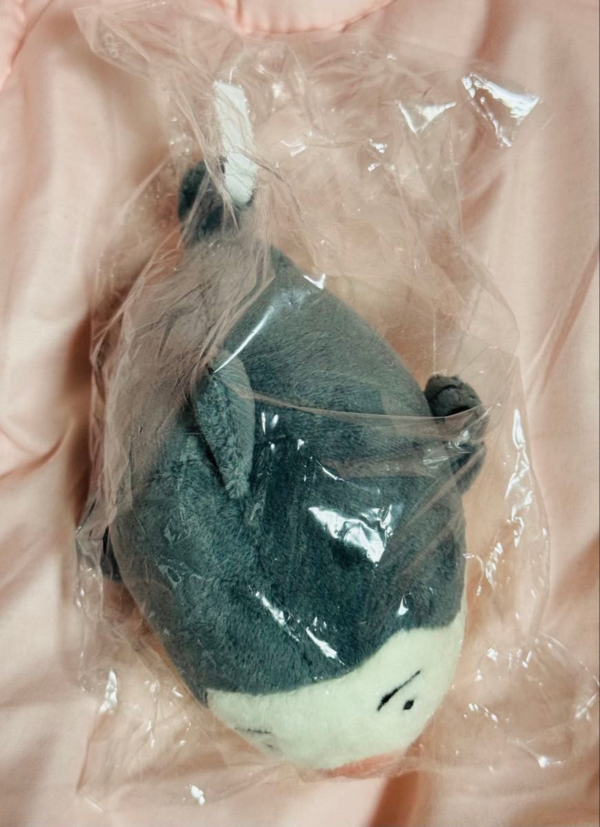 slam dunk スラムダンク ピョンオ 深津一成 ぬいぐるみ｜Yahoo!フリマ