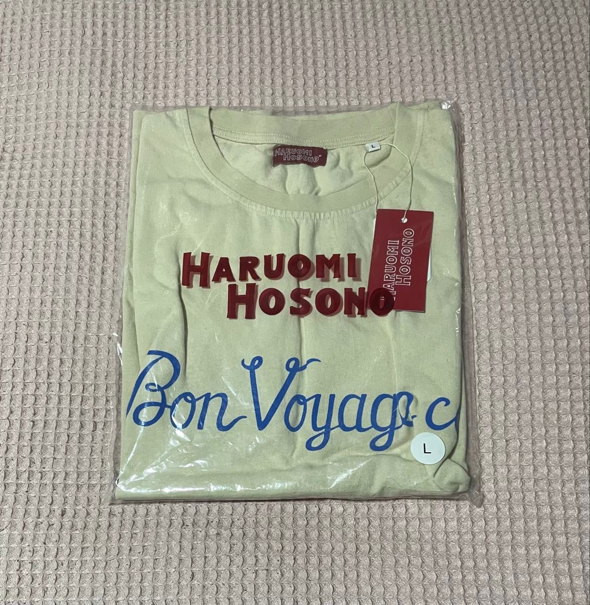 細野晴臣 HARUOMI HOSONO トロピカルダンディ Tシャツ 両面プリント