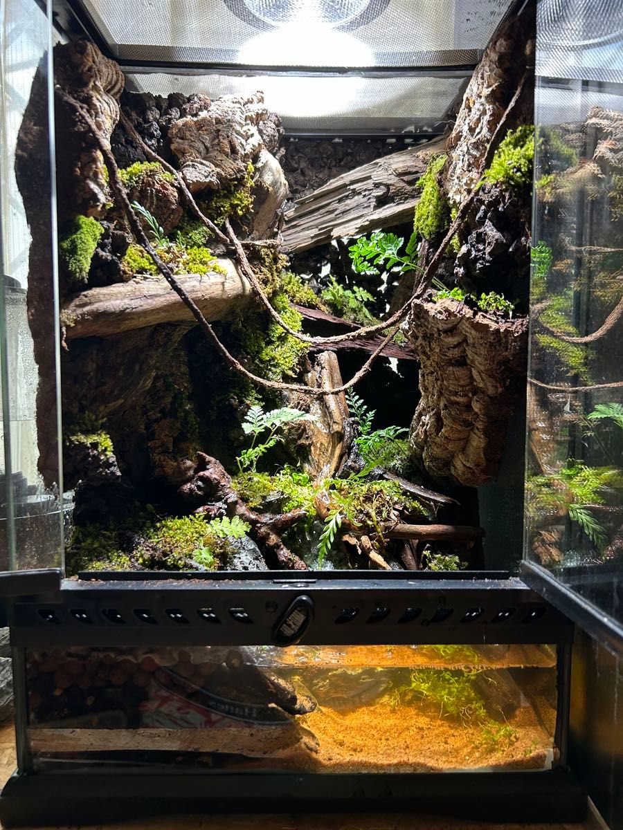 グラステラリウム3045 レイアウト品｜Yahoo!フリマ（旧PayPayフリマ）