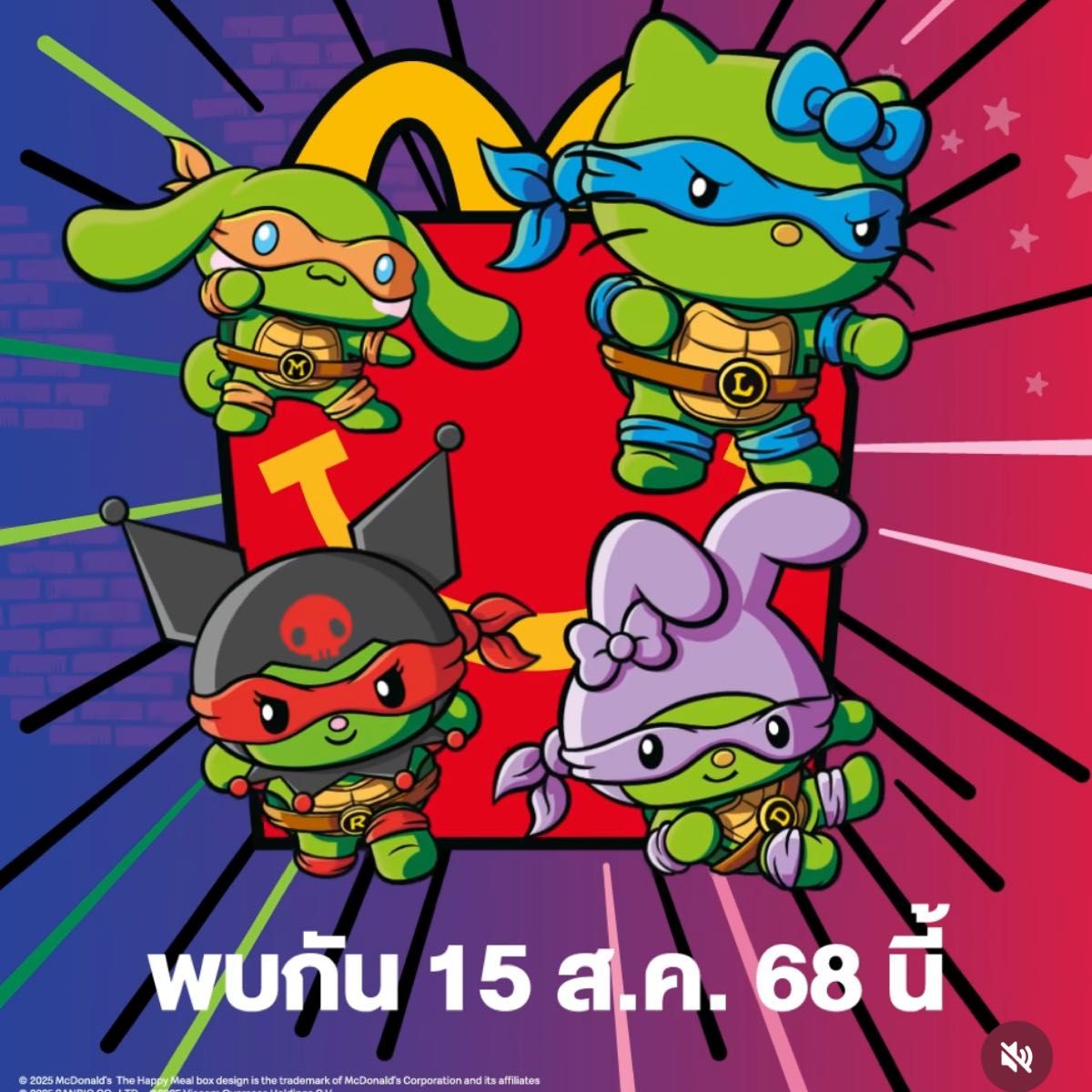 発送8/27】サンリオ x ミュータントタートルズ フィギュア