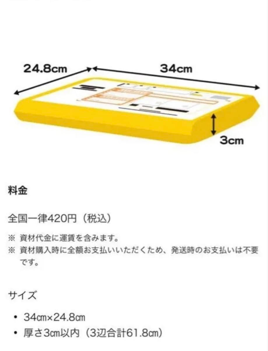 こねこ便420 ヤマト運輸 資材 10枚セット クロネコ レターパック