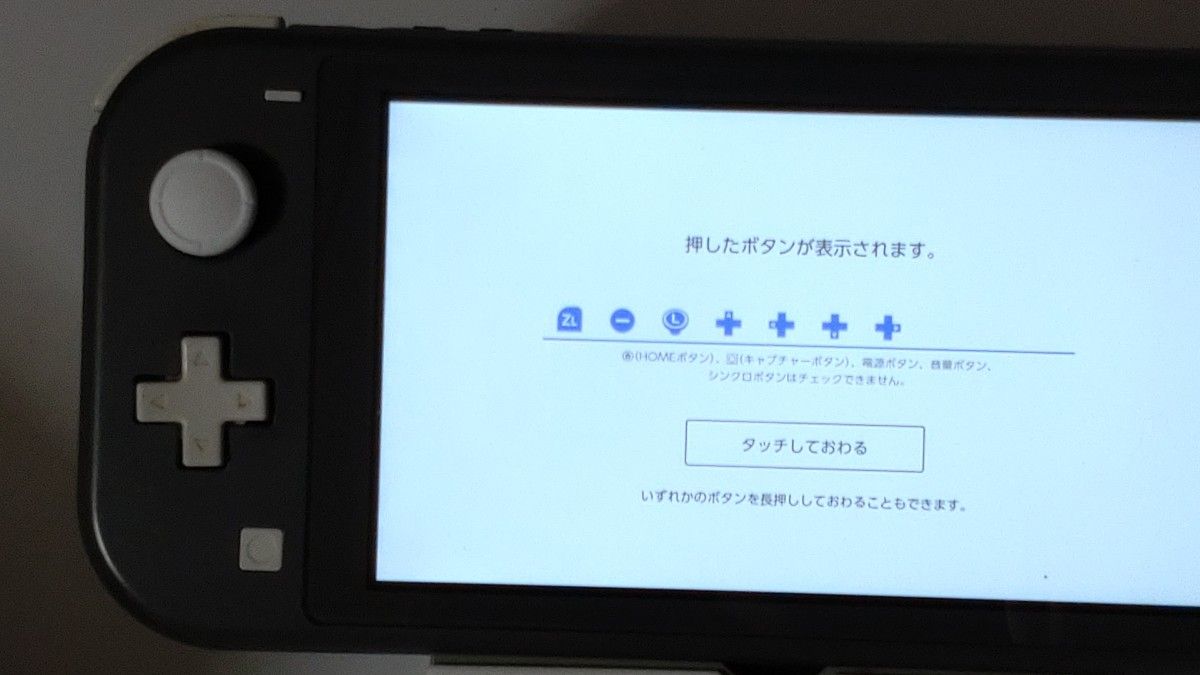 Nintendo Switch Lite グレー ニンテンドースイッチ ライト 任天堂 訳