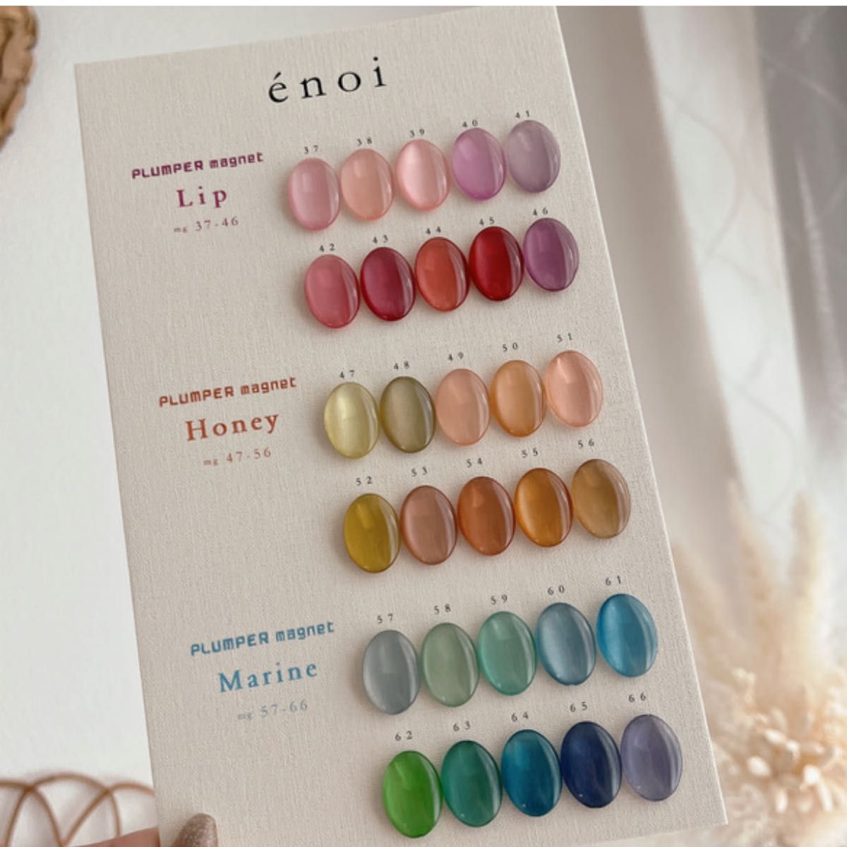 大人気 エノイ enoi マグネット プランパーマグ30色＋マロンマグ20色