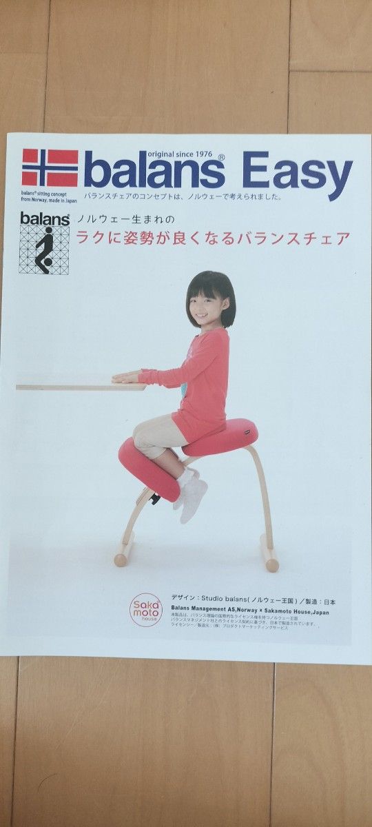 Rybo balans Easy バランスイージー サカモトハウス バランスチェア