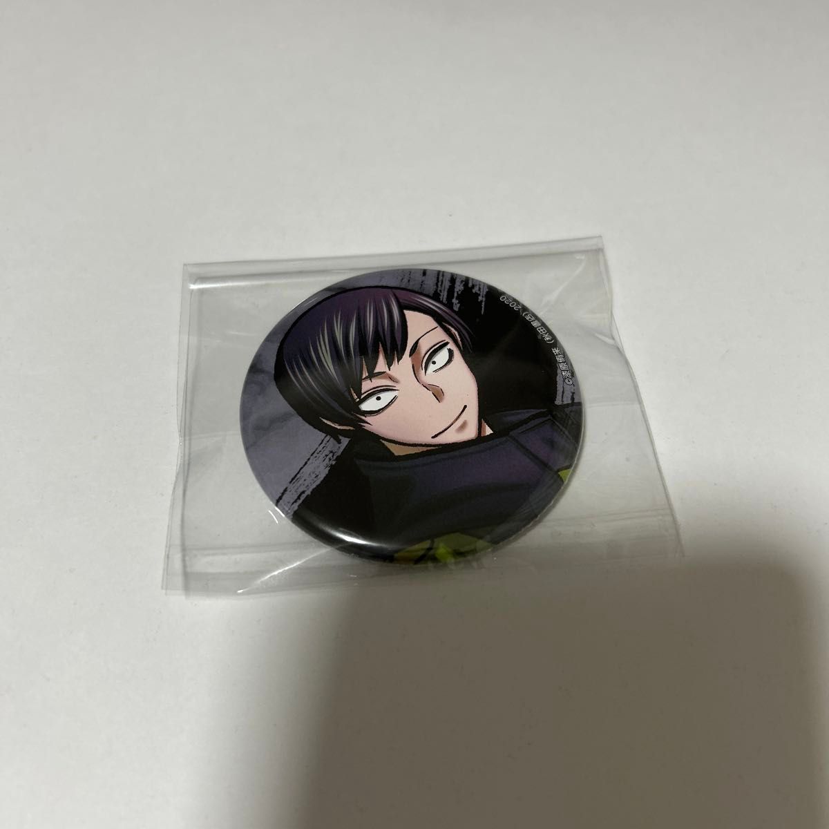 桃源暗鬼 コミケ C106 缶バッジ 並木度 馨 淀川真澄 並木度馨 桃源暗鬼