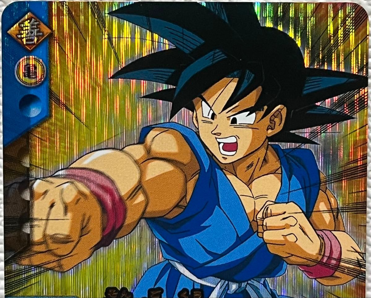 エ*ビ様 ドラゴンボールデータカードダス 爆レア 孫悟空 ベジット