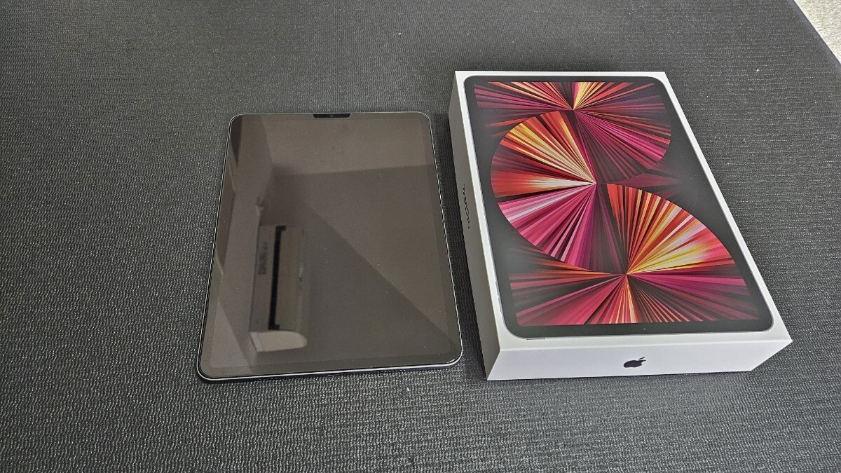 Apple iPad Pro11最大バッテリー96% 私の今月の生活費 Apple iPad