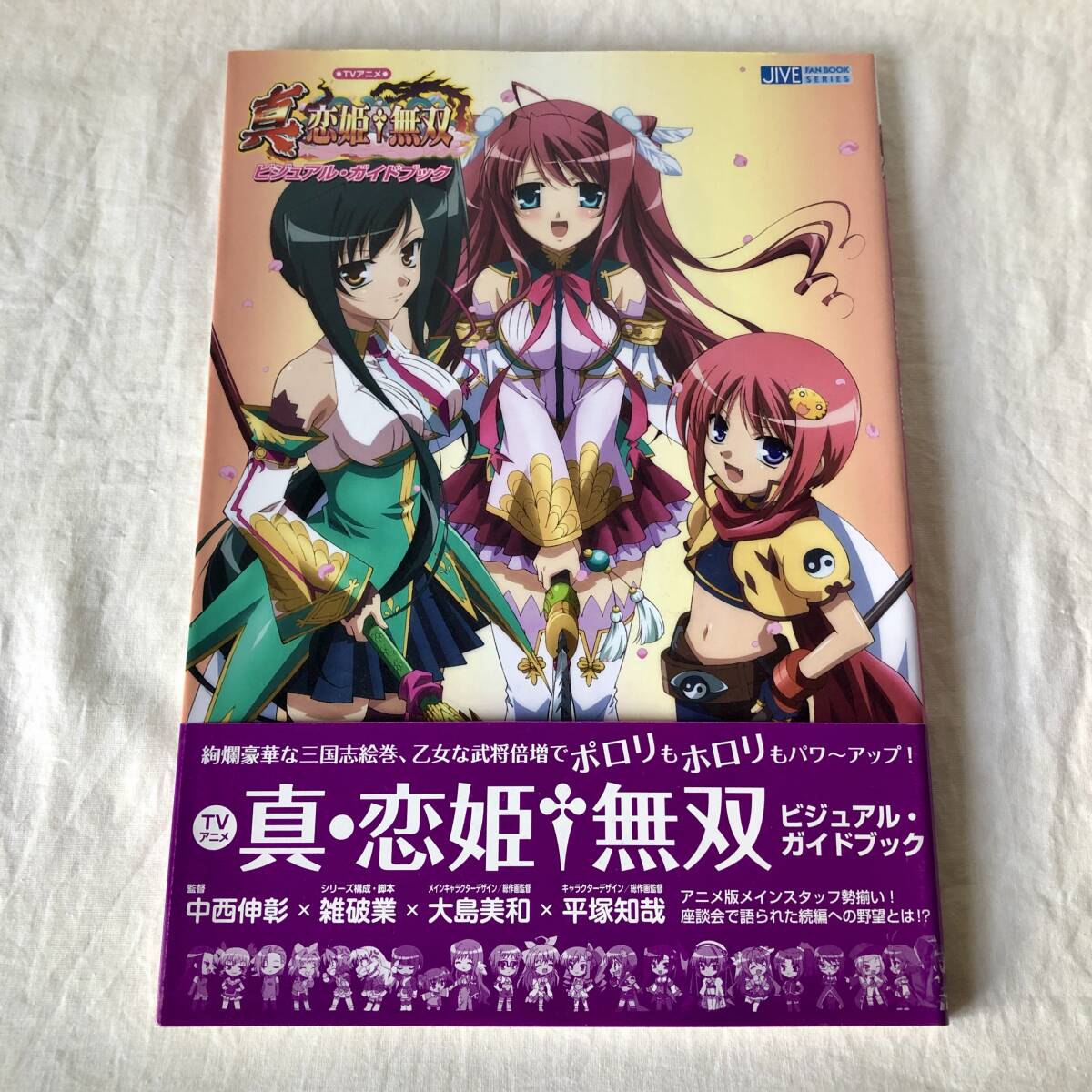TVアニメ 真・恋姫†無双 ビジュアル・ガイドブック｜Yahoo!フリマ（旧