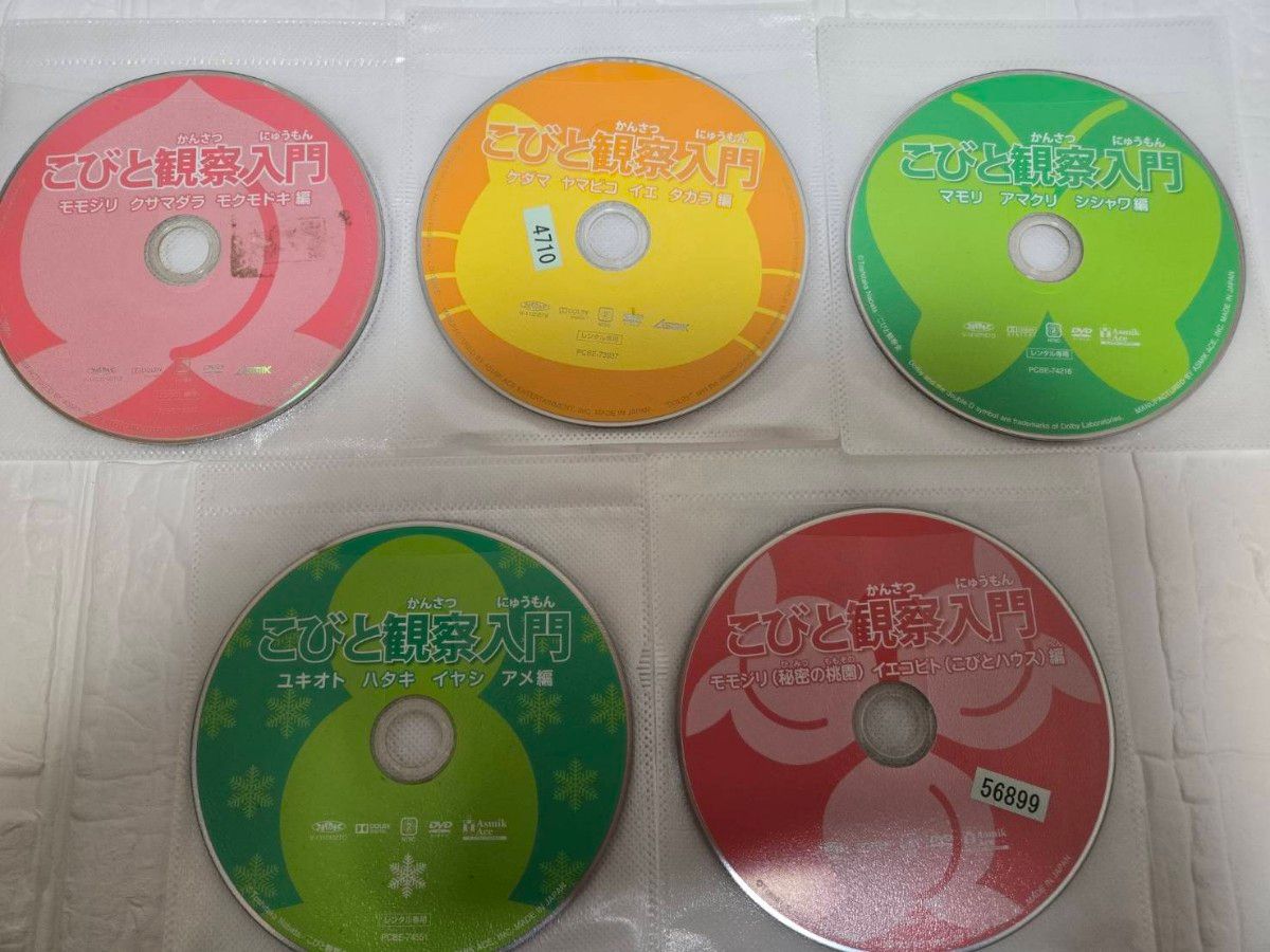 こびと観察入門 全9巻＋こびと大研究 DVD 全巻セット レンタル｜Yahoo