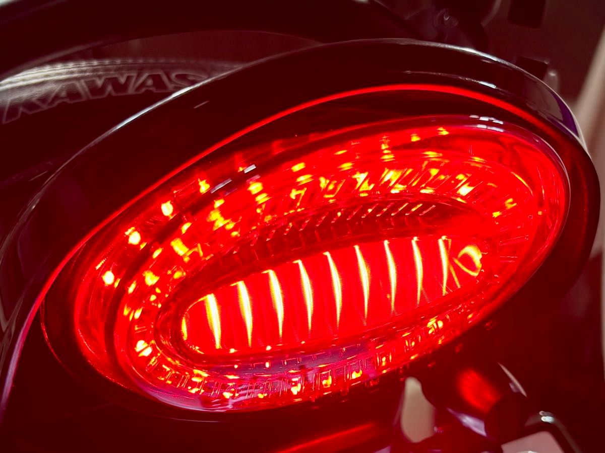 スモークタイプ カワサキ Z900RS Z650RS テールランプ ルミナスLED