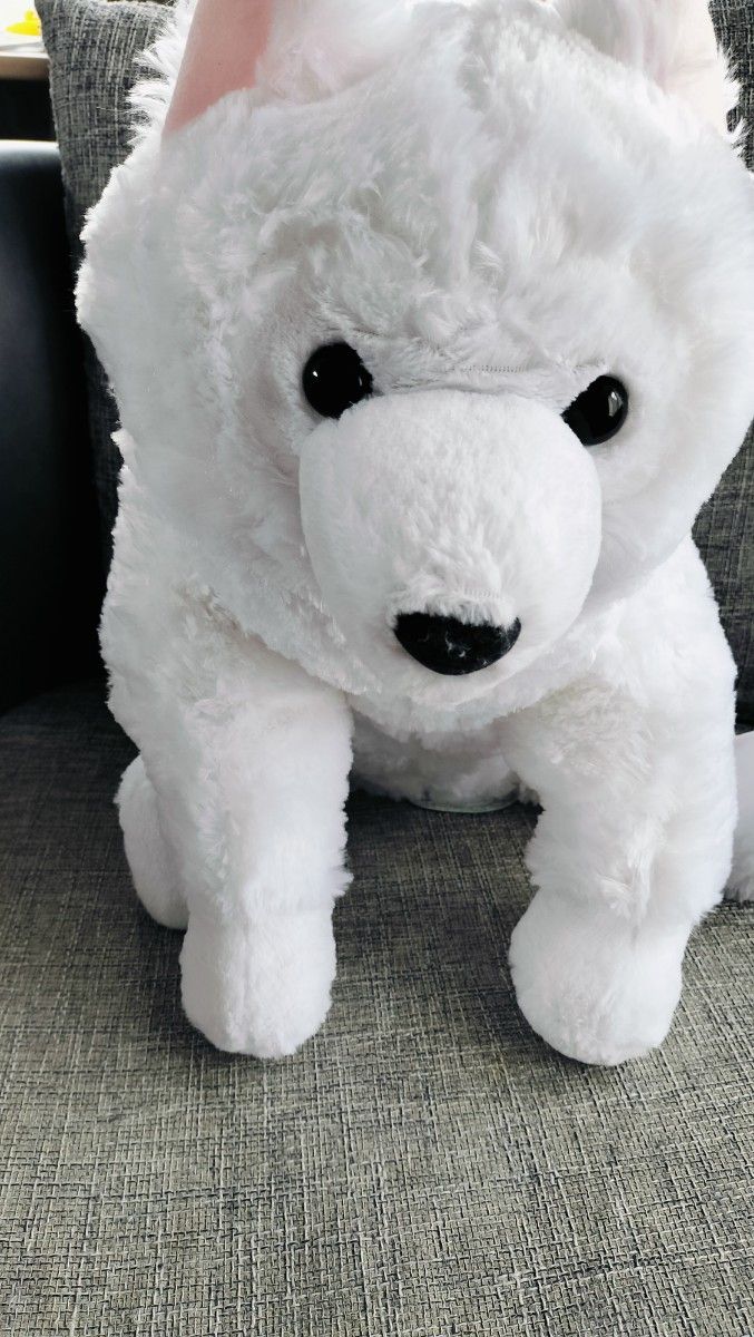くったりサモエドくん ごきげん ウルトラBIG しろろん ぬいぐるみ