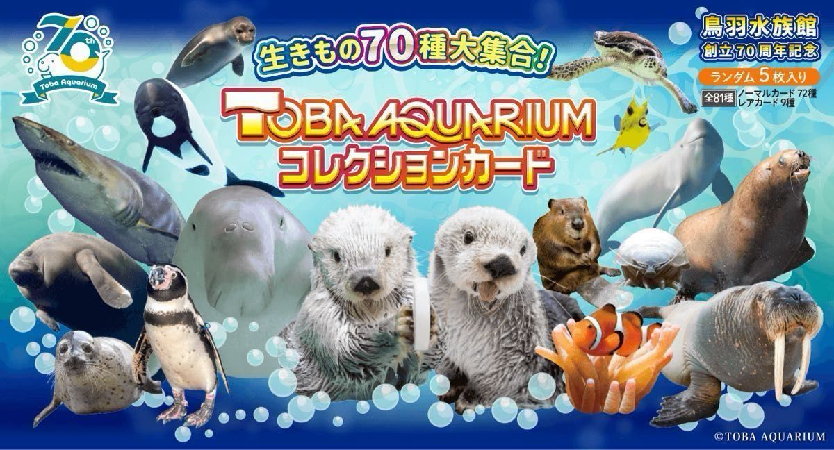 鳥羽水族館 TOBA AQUARIUMコレクションカード レア ラッコ キラメイ