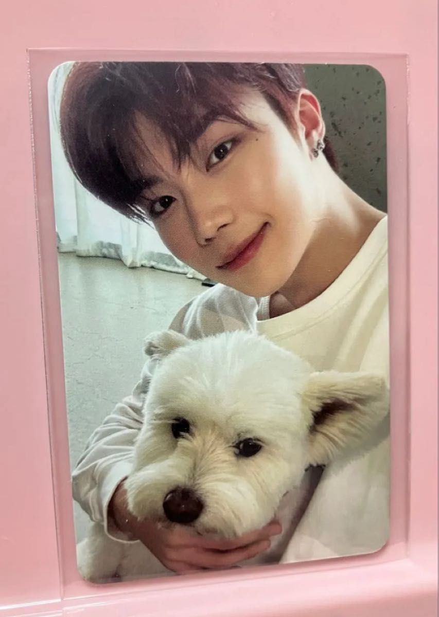 ZEROBASEONE NEVER SAY NEVER トレカ ゼベワン ZB1 ゴヌク 犬 レオ