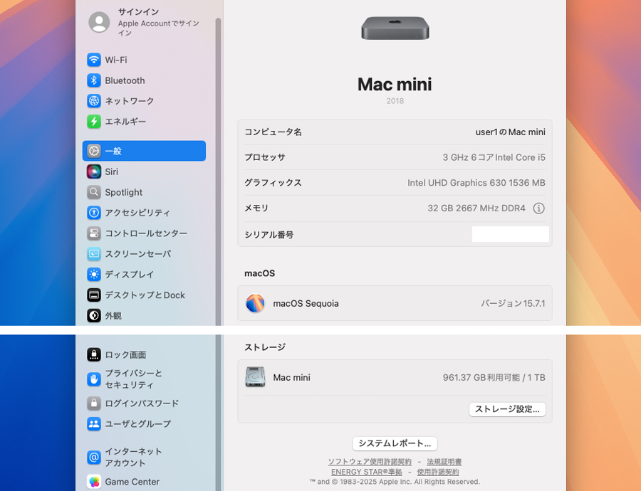 Mac mini 2018 Core i5(3 0GHz 6コア)32GB/SSD1TB/無線LAN/Sequoia
