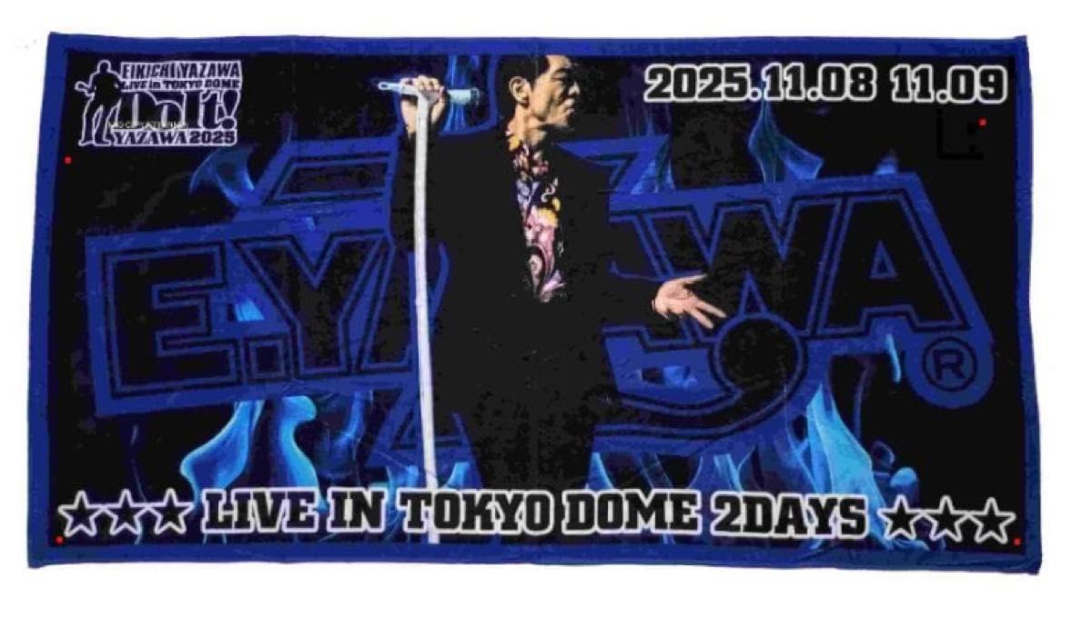 矢沢永吉 Do It 東京ドームライブ スペシャルビーチタオル 2025｜Yahoo