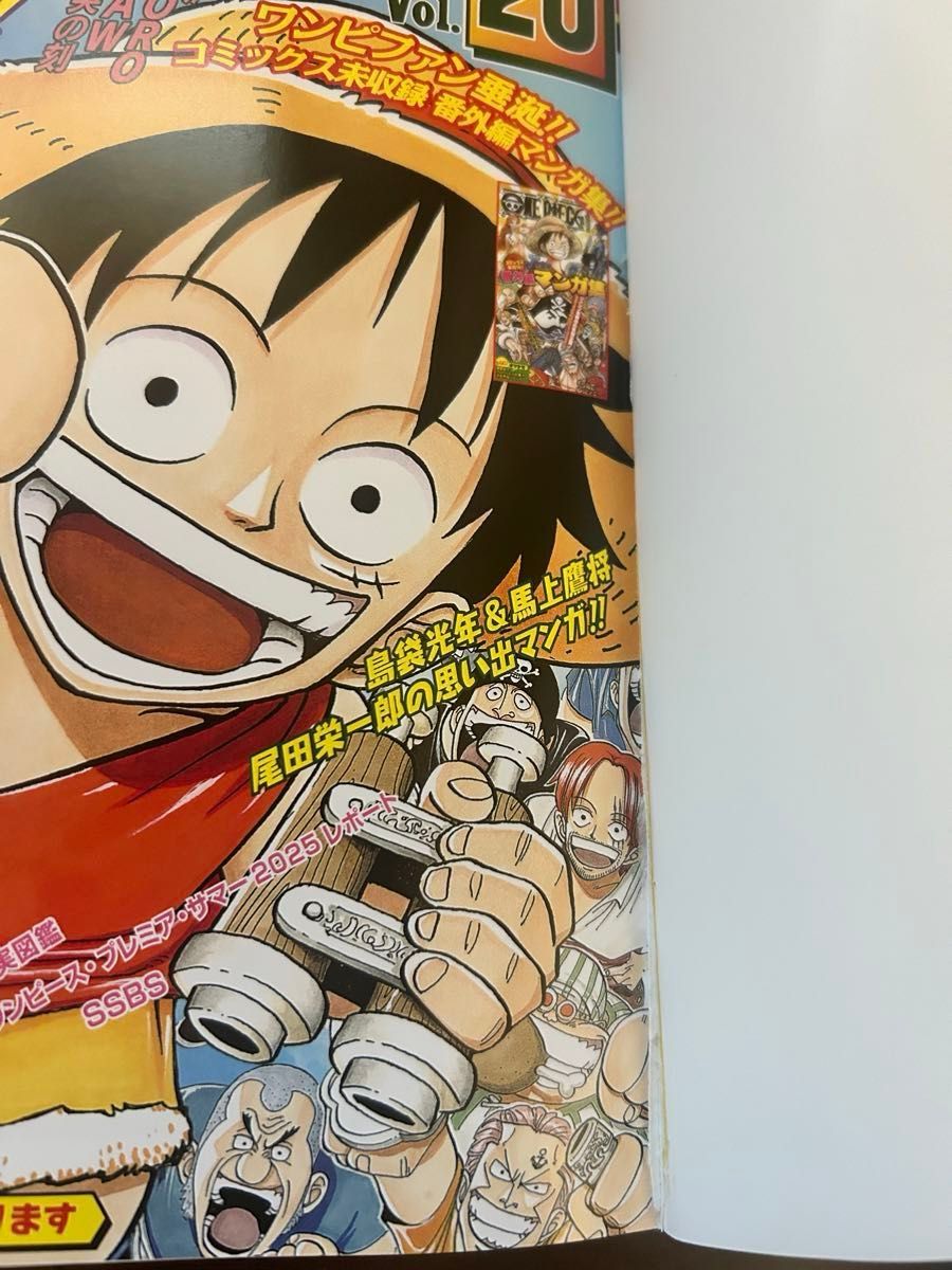 ONE PIECE magazineワンピースマガジン20号 プロモなし6冊｜Yahoo
