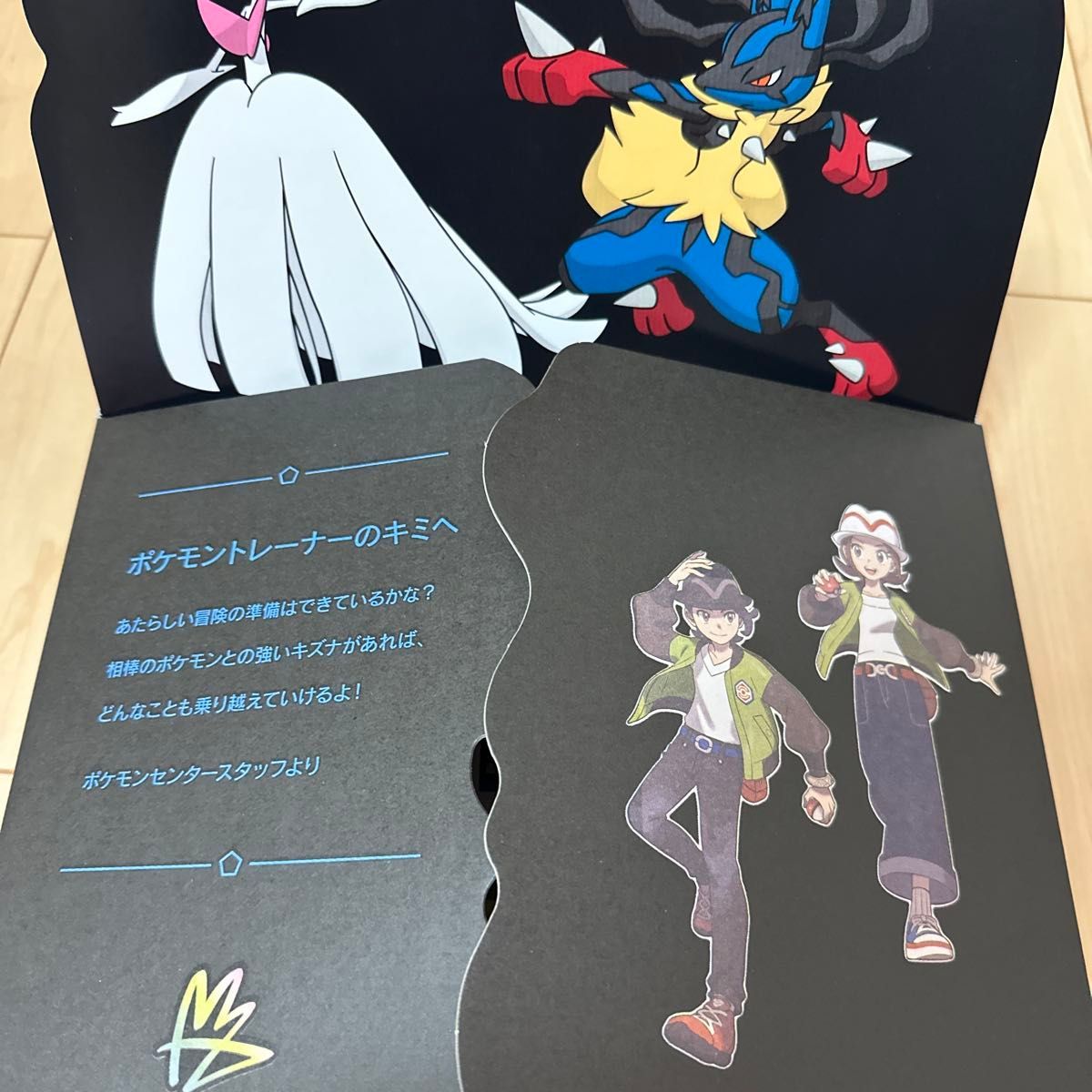 箱無し購入者様へ(購入なければ価格戻します)ポケモンレジェンズZA