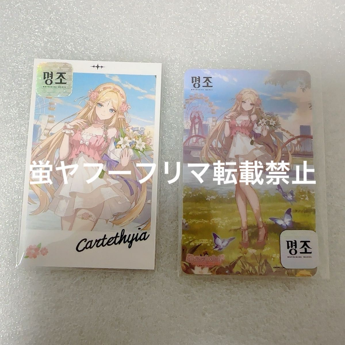 韓国限定 鳴潮 キャンパス カルテジア フォトカード 韓国限定 鳴潮