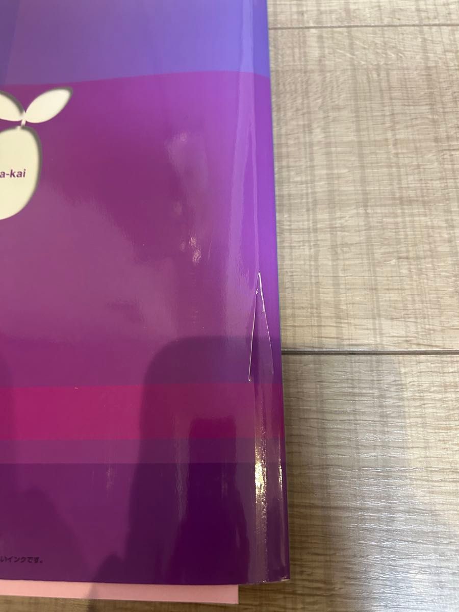 過去問】2025 開智小学校 （総合部） 開智所沢小学校 開智望小学校