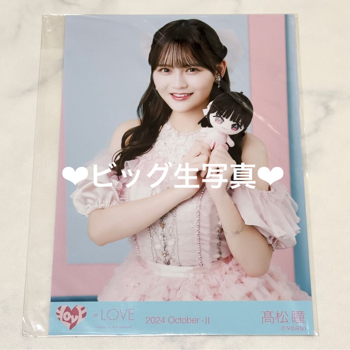 イコラブ ＝LOVE モーリーファンタジー ぬいぐるみ 髙松瞳 ビッグ生