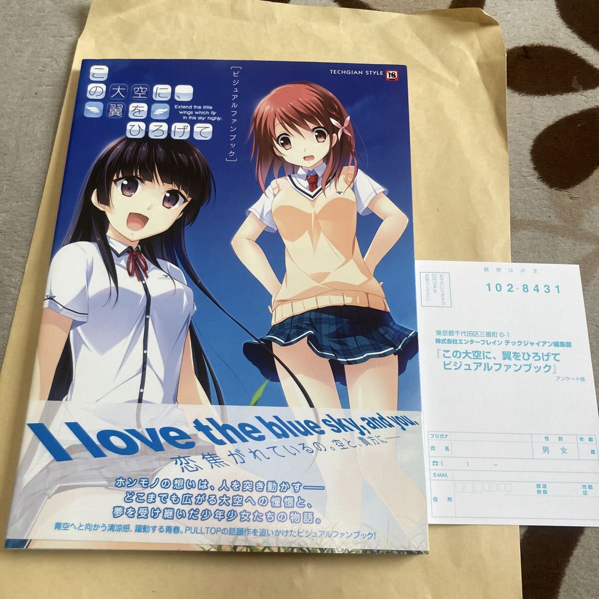 送料無料 この大空に 翼をひろげて ビジュアルファンブック 初版 帯