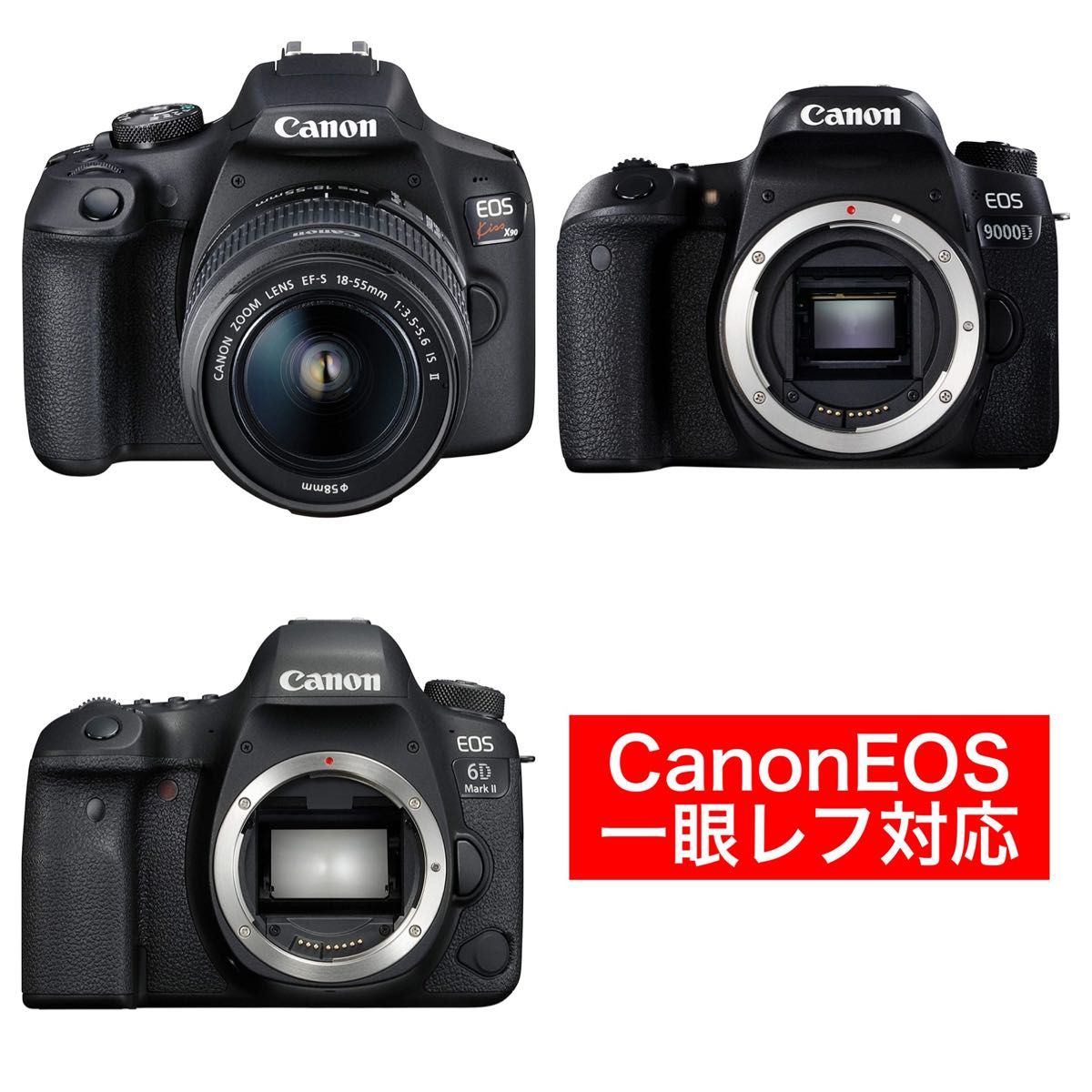 Canon一眼レフ用ズームレンズ 初心者サポート付き 袋付き 即決OK 望遠