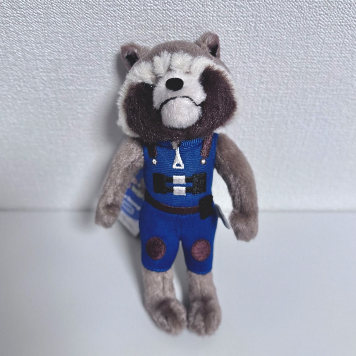 新品タグ付き 東京ディズニーリゾート イッツアスモールワールドwith