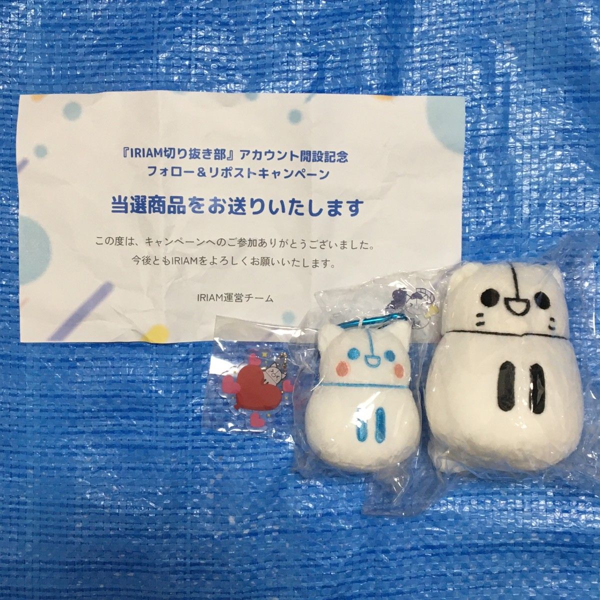 非売品 IRIAM しらす ぬいぐるみ｜Yahoo!フリマ（旧PayPayフリマ）