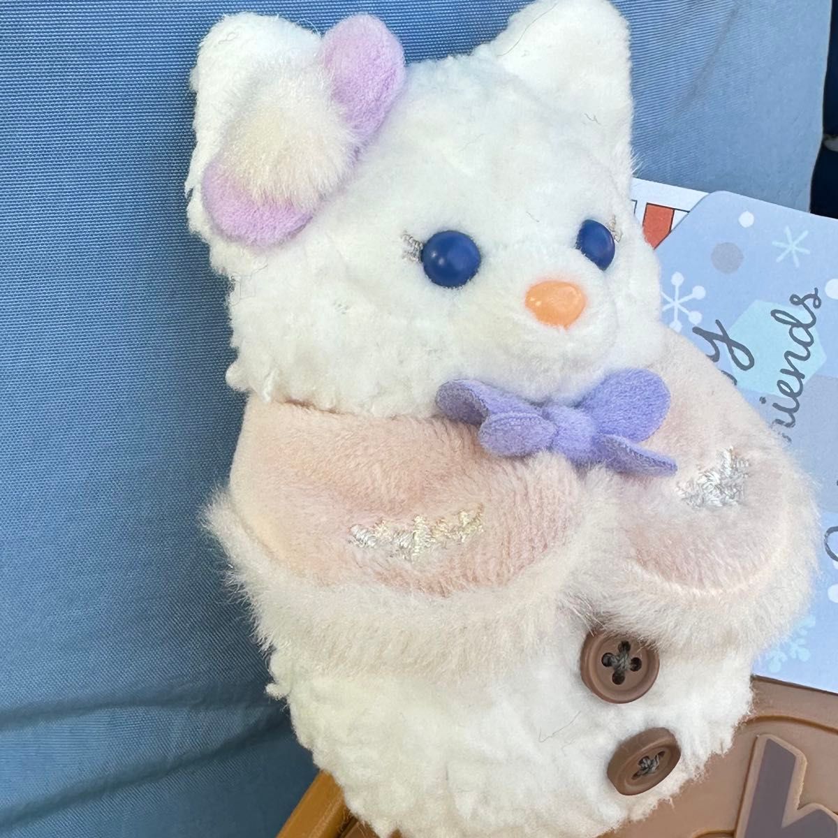 シークレットオブスノーウィーデイ リーナベル コスチューム