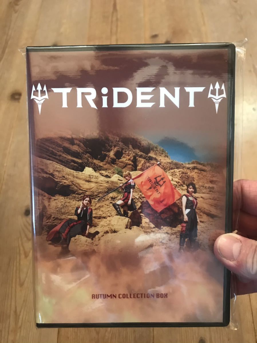 Yahoo!オークション - ラスト1枚絶版 ガールズロックバンド革命 TRiDE