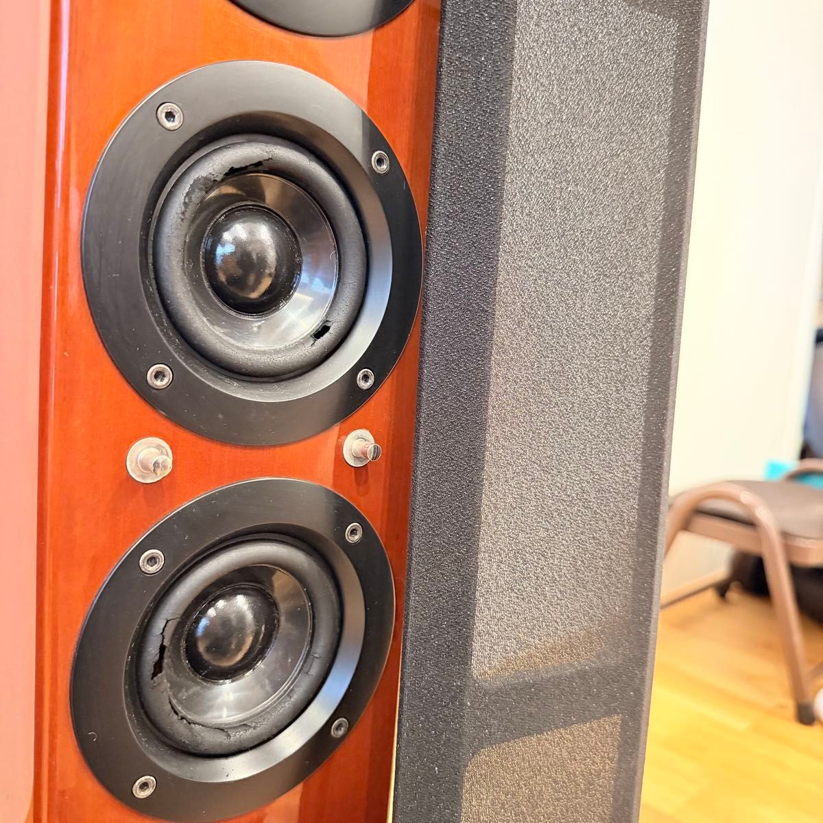 名機 廃盤 Panasonic SB-PF800 スピーカーCineplex sound ペア トール