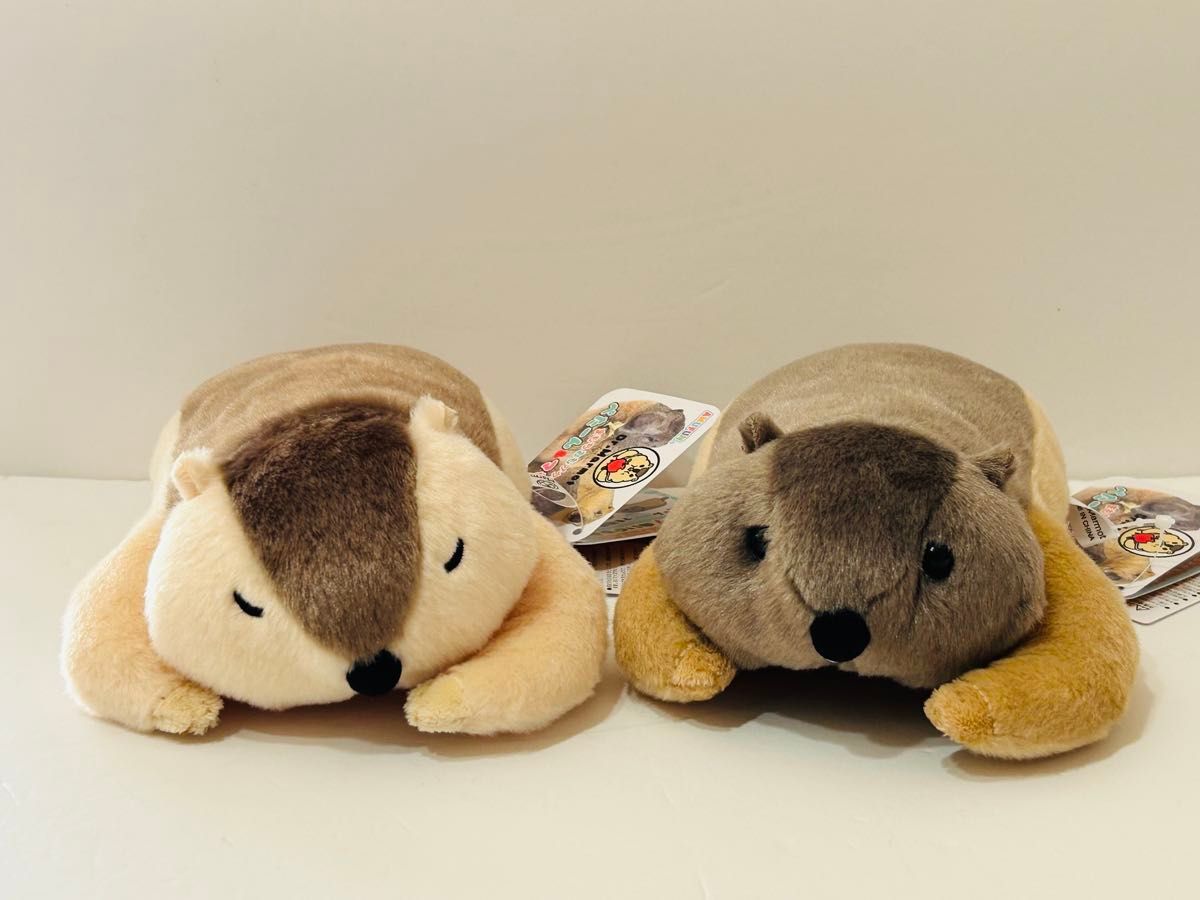Dr マーモット まもちおもプクのぺたーん＆マモ相撲ぬいぐるみ 2種